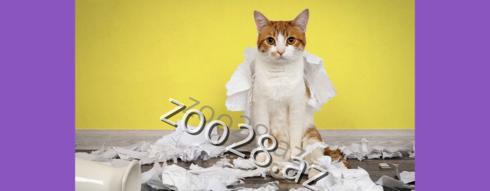 Pişik cırmaqlaması ilə mübarizə: Mebelinizi necə qoruyasınız?